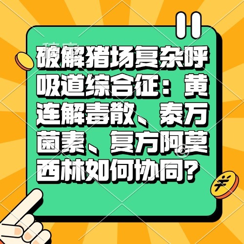 破解猪场复杂呼吸道综合征：黄连解毒散、泰万菌素、复方阿莫西林如何协同？