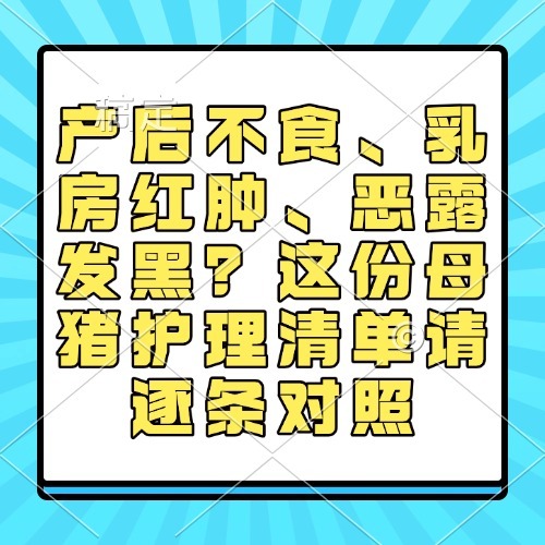 产后不食、乳房红肿、恶露发黑？这份母猪护理清单请逐条对照