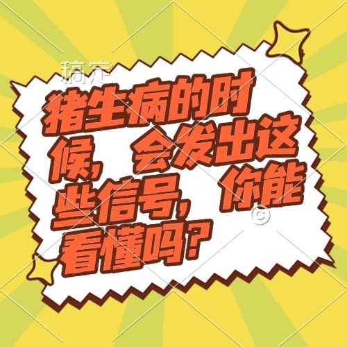 猪生病的时候，会发出这些信号，你能看懂吗？