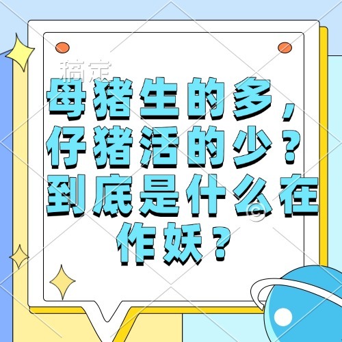 母猪生的多，仔猪活的少？到底是什么在作妖？