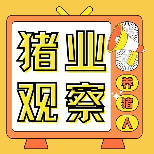 猪价刚涨就跌！当前处于震荡磨底，双节反弹与周期反转要分清