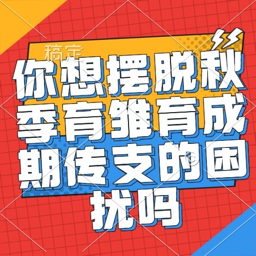 你想摆脱秋季育雏育成期传支的困扰吗
