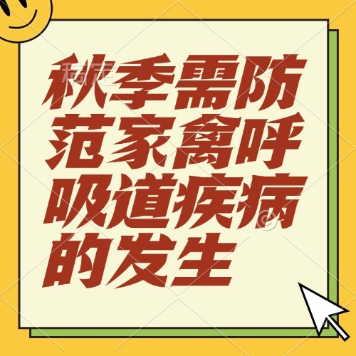 秋季需防范家禽呼吸道疾病的发生