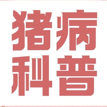 母猪产前不吃料、减料千万别硬喂！很多猪场就是这样喂出难产的