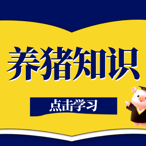 怎么样巧妙给猪贴秋膘？这6大技巧别错过