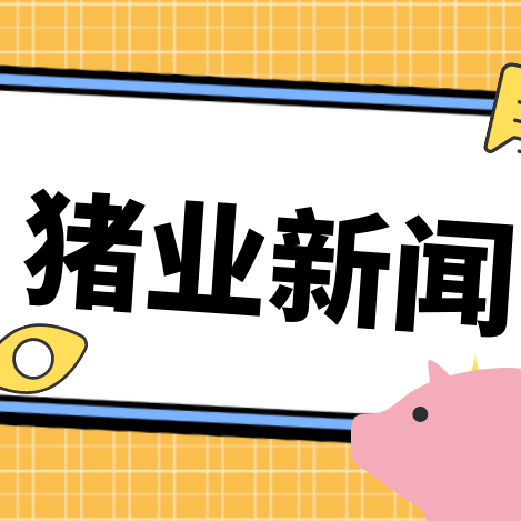 旺季不旺！供强需弱叠加被动出栏，生猪行情持续承压