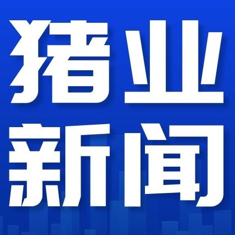 猪价滑坡下跌逼近5元/斤，国庆能否迎来止跌机会？