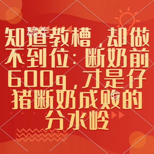 知道教槽，却做不到位：断奶前600g，才是仔猪断奶成败的分水岭