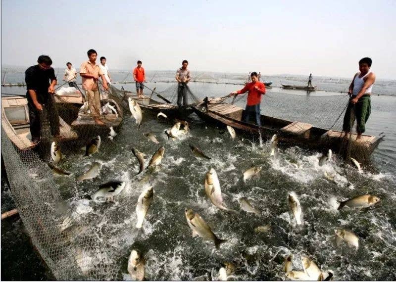 全面开启渔全面开启渔业互助保险系统体制改革业互助保险系统体制改革