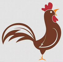 肉鸡日评：毛鸡交投尚可　苗价大幅上调（20201125）