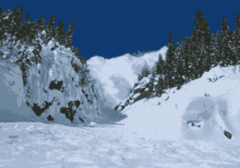 猪价即将断崖！农业农村部最新预警，新生仔猪3348万头、暴增1079万吨猪肉！已跌价近半！