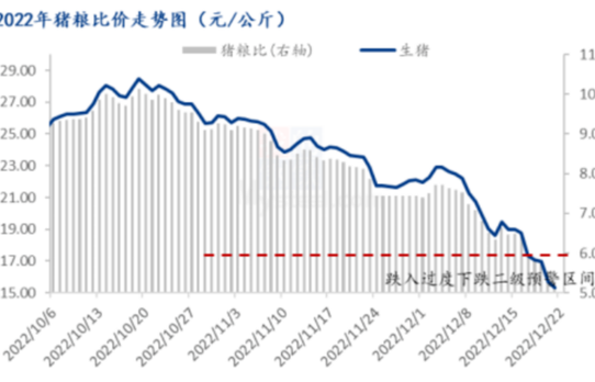 最新预测！2023年生猪均价或在9-10元/斤！