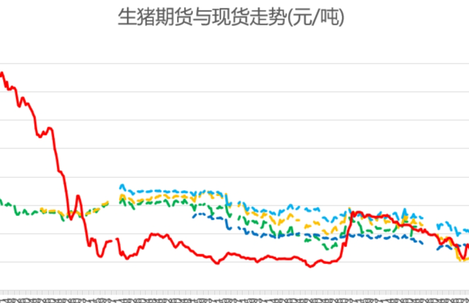猪价行情及生猪期货行情动态