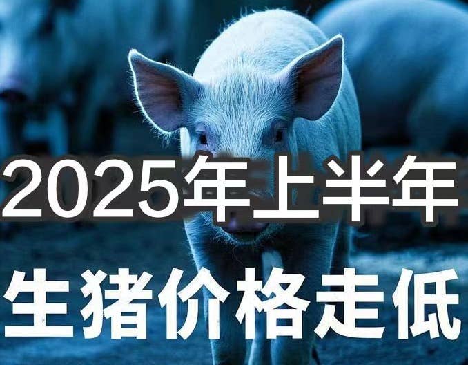 2025年生猪市场供需失衡加剧 价格下行压力凸显