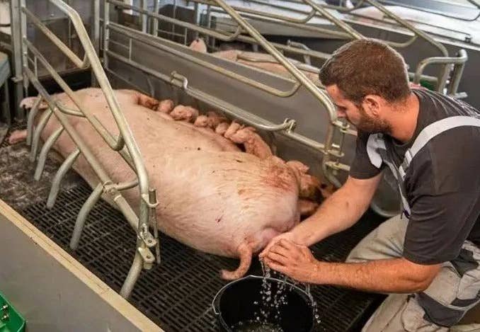 分娩的关键目标