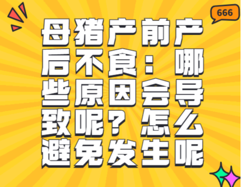 母猪产前产后不食：哪些原因会导致呢？怎么避免发生呢