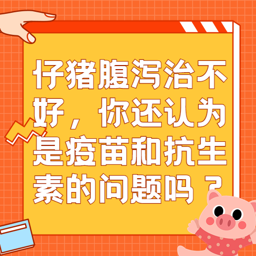 仔猪腹泻治不好，你还认为是疫苗和抗生素的问题吗？