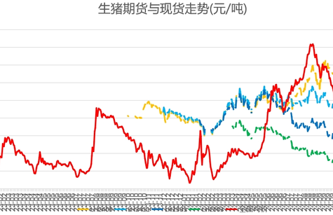 12.12猪价行情及生猪期货行情动态