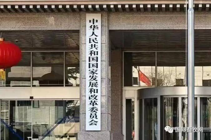市场降价抵触 国家发改委：生猪养殖继续头均亏损112元，肉鸡盈利1.23元/只，蛋鸡盈利27元/只