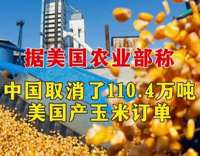 中国取消110万吨美国玉米进口 玉米供需格局正在发生巨变
