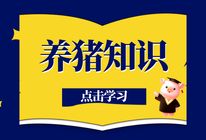 警惕猪贩子的几个&ldquo;坑猪&rdquo;手段！养猪人必看