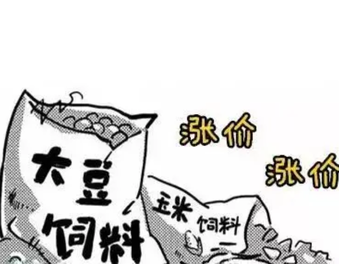 玉米、豆粕、菜粕、棉粕、鱼粉&hellip;集体上涨！饲料要涨价吗？