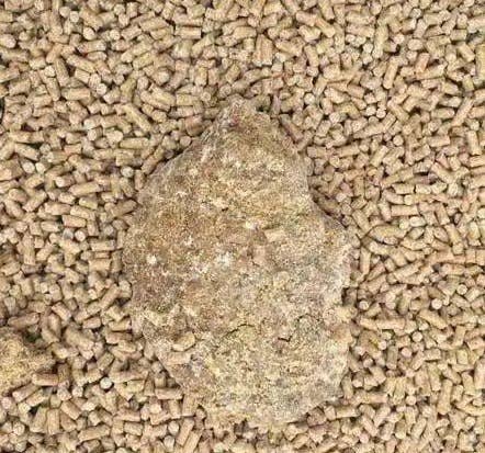 饲料霉变的危害