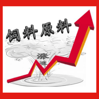 饲料原料价格显著回升，会带动猪价上涨吗？