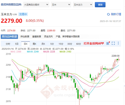 玉米期货2024.1.16