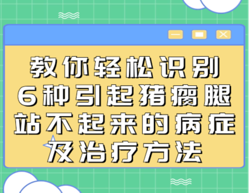 教你轻松识别6种引起猪瘸腿站不起来的病症及治疗方法