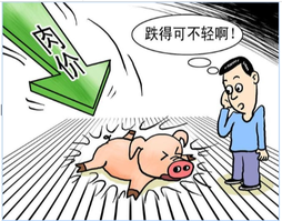6连降！猪价跌回&ldquo;原价&rdquo;，下跌元凶已找到！发生了啥？2个好消息